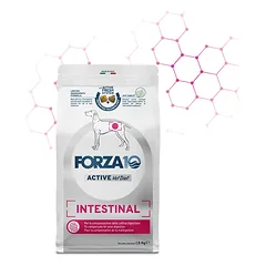 FORZA10 VetDiet Intestinal Adult