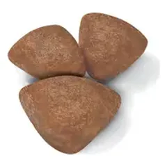 Royal Canin Dog Mini Starter Mother&Babydog visavertis pašaras mažų veislių maitinančioms kalėms/šuniukams, 8 kg — 2 nuotrauka