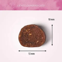 ANTOS Diced Beef skanėstai katėms su jautiena 50g (12) — 2 nuotrauka