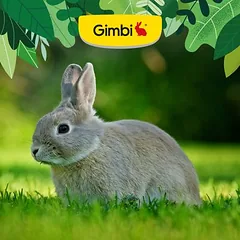 Gimbi Mother Nature Rabbit Pellet