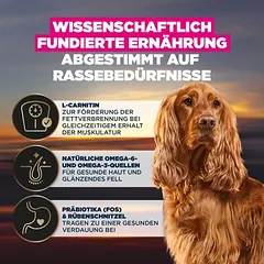 Eukanuba Adult Breed Care Cocker Spaniel, sausas maistas šunims — 3 nuotrauka