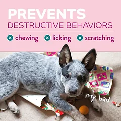 TropiClean Behaviour Chew Stop Puppy purškiklis šuniukams, 236 ml — 5 nuotrauka
