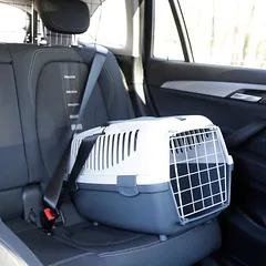 Kerbl Transportavimo dėžė Gulliver, B 40 x T 61 x H 38 cm — 3 nuotrauka