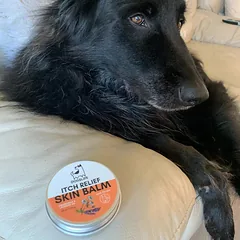 DOGSLIFE natūralus, raminantis ir atstatantis balzamas odos priežiūrai šunims, 60 ml — 5 nuotrauka