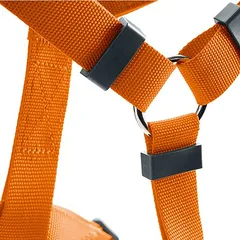 HUNTER petnešos London Vario Rapid, oranžinės, Dydis M: 58-101 cm Pilvo apimtis — 2 nuotrauka