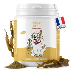 Museau & Co | Kelp | Meeresalge für Vitalität | Hund & Katze