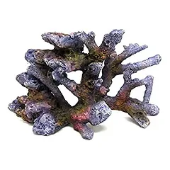 AMTRA REEF ROCK BRANCH rifo akmuo SM2