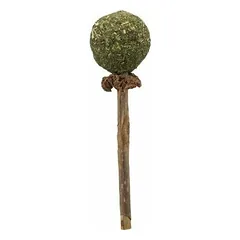 Trixie Matatabi Lolly 11 cm