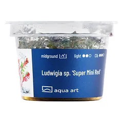 Akvariumo augalas Ludwigia sp. Super Mini Red — 3 nuotrauka
