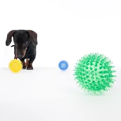 zooplus basics dygliuotų kamuoliukų rinkinys, 3 vnt. — 3 nuotrauka