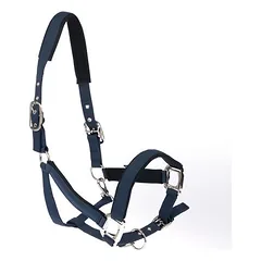 Nomad Tales Halfter mit Neoprenpolsterung, marineblau
