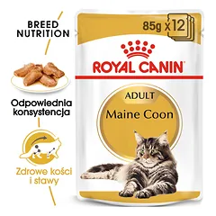 ROYAL CANIN Mainecoon 24x85 g