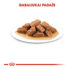 ROYAL CANIN SHN medium adult  konservai suaugusiems vidutinio dydžio šunims 10x140 g — 4 nuotrauka