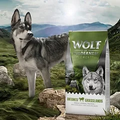 Wolf of Wilderness Monoprotein su arkliena "Untamed Grasslands", sausas maistas šunims, < 1,4 kg — 5 nuotrauka