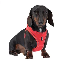 TIAKI Wave Vest petnešos, raudonos, Labai mažiems < 4 kg — 5 nuotrauka