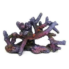 AMTRA REEF ROCK BRANCH rifo akmuo SM1