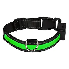 Eyenimal šviečiantis LED antkaklis – žalias, Labai dideliems > 45 kg — 1 nuotrauka