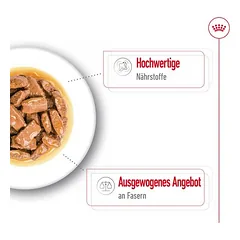 Royal Canin Maxi Adult padaže, drėgnas maistas šunims — 5 nuotrauka