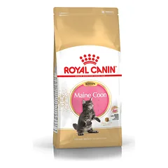 Royal Canin Maine Coon Kitten sausas maistas kačiukams