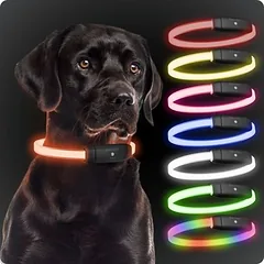 PAJ šviečiantis antkaklis šunims – Light Collar, Juoda — 1 nuotrauka