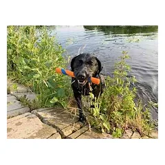 CHUCKIT! ULTRA FETCH STICK žaislas šunims — 3 nuotrauka
