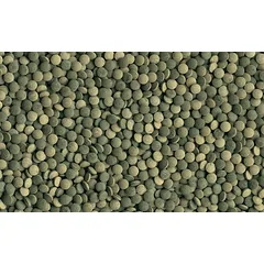 Tetra Pleco Tablets 120tabl. — 2 nuotrauka