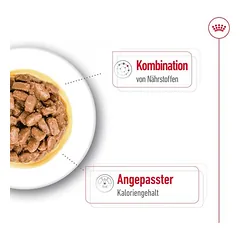 Royal Canin Mini Ageing padaže, drėgnas maistas šunims — 5 nuotrauka