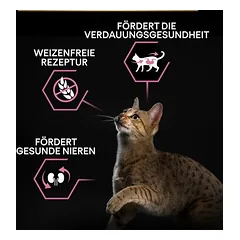 PURINA PRO PLAN Adult Delicate Digestion su kalakutiena, sausas maistas katėms, > 10 kg — 5 nuotrauka