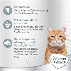 Concept for Life Oral Care sausas maistas katėms, < 1,4 kg — 4 nuotrauka