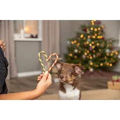 TRX_926209 TRIXIE Xmas Kalėdinė įv.skonių, 20 g (pak.150) — 2 nuotrauka