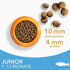 IAMS Advanced Nutrition Kitten su jūros žuvimi, sausas maistas kačiukams, > 10 kg — 5 nuotrauka