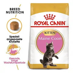 Royal Canin Maine Coon Kitten