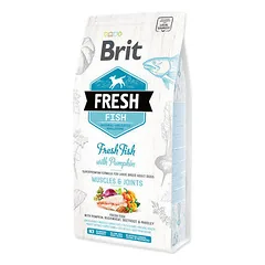 Brit Fresh Fish with Pumpkin Adult Large sausas pašaras šunims 2,5 kg