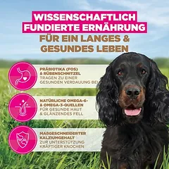 Eukanuba Grain Free Adult su žvėriena, sausas maistas šunims — 4 nuotrauka
