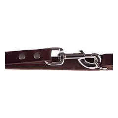 Heim kniedytas pavadėlis, rudas, Dideliems 26–45 kg — 4 nuotrauka
