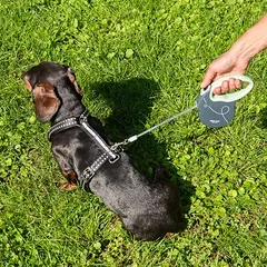 Nomad Tales Bloom ištraukiamas pavadėlis Liberty, Vidutiniams 11–25 kg — 5 nuotrauka