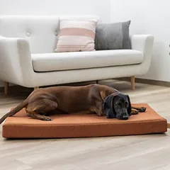 Kerbl Pet čiužinys šunims Memory Foam Oliver, rūdžių spalvos, L 60 x B 100 x H 8 cm — 5 nuotrauka