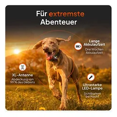 Weenect XT Black GPS sekiklis šunims (su antkakliu) parduotuvėje zooplus.de