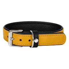 Das Lederband antkaklis šunims Vancouver Yellow/Black