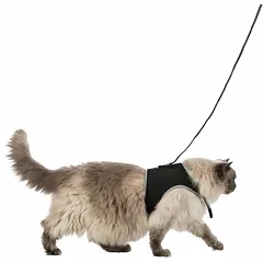 Trixie Soft Harness With Leash for Cats krūtinės diržas-liemenė su pavadėliu katėms, XL, 36–54 cm, 1.20 m — 4 nuotrauka