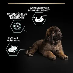 PURINA PRO PLAN Large Robust Puppy Sensitive Digestion su ėriena, sausas maistas šuniukams — 5 nuotrauka
