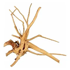 Trixie 6 Finger Roots natūrali dekoracija terariumams ir akvariumams, M/L, iki 50 cm