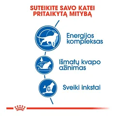 ROYAL CANIN Indoor +7 sausas pašaras katėms, 3.5 kg — 3 nuotrauka