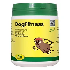 DogFitness