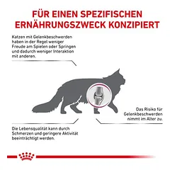Royal Canin Veterinary Feline Mobility sausas maistas katėms — 2 nuotrauka