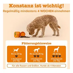 Zesty Paws Probiotic Chews su moliūgu, papildas, > 250 g — 4 nuotrauka