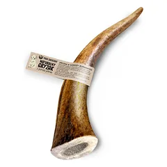 PAKA ZIERZAKA Elnio ragai šunims kramtyti Hard XL 18 cm