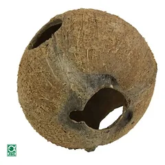 JBL Cocos Cava, L (3/4) — 3 nuotrauka