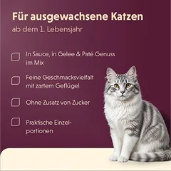 12 + 12 gratis! 24 x 85 g Animonda Vom Feinsten 