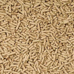 Cat's Best Universal kraikas, medžio drožlių, 10l, 5,5kg — 3 nuotrauka